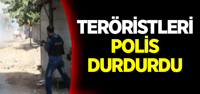 Mardin'de PKK'lıları polis durdurdu