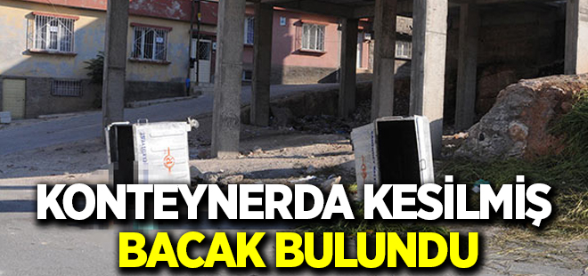 konteynerde kesilmiş 2 bacak bulundu