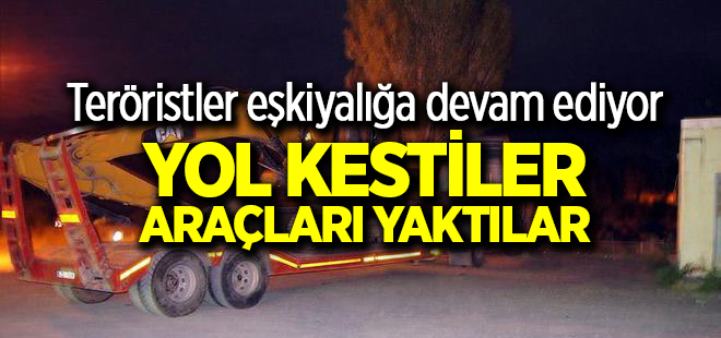 Kars'ta teröristler yol kesip araçları ateşe verdi
